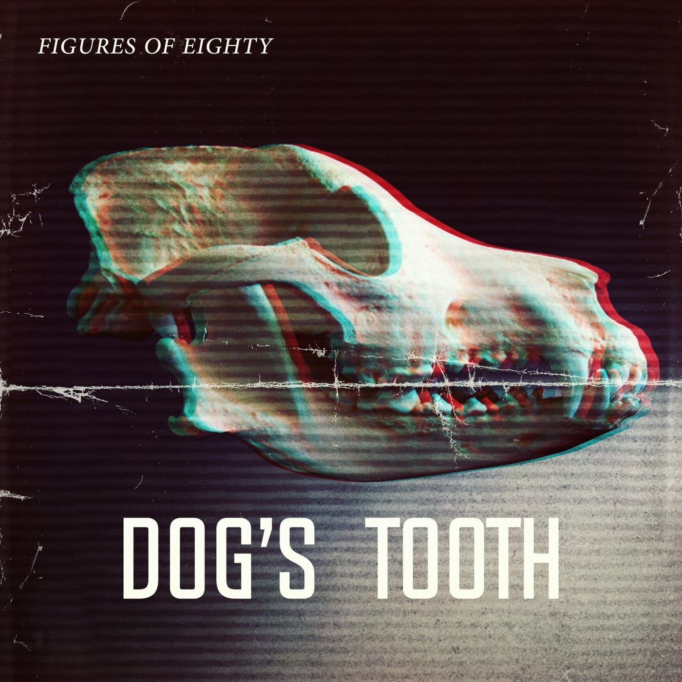 Dogs Tooth