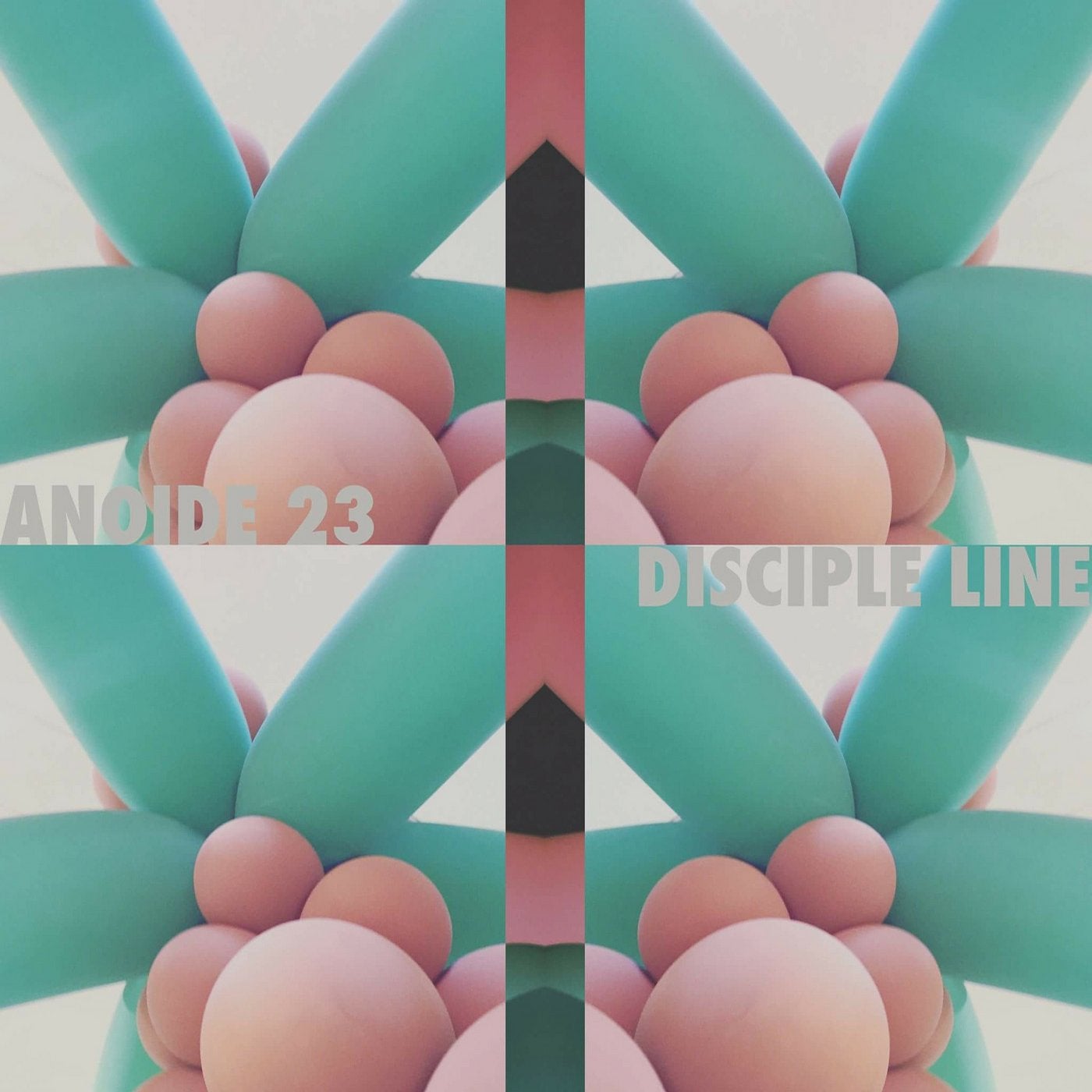 Anoide 23