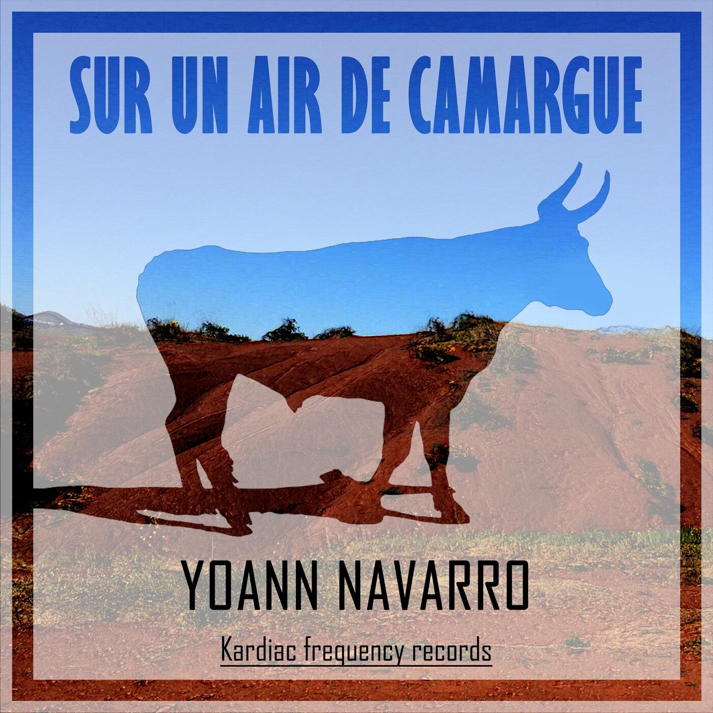 Sur Un Air De Camargue