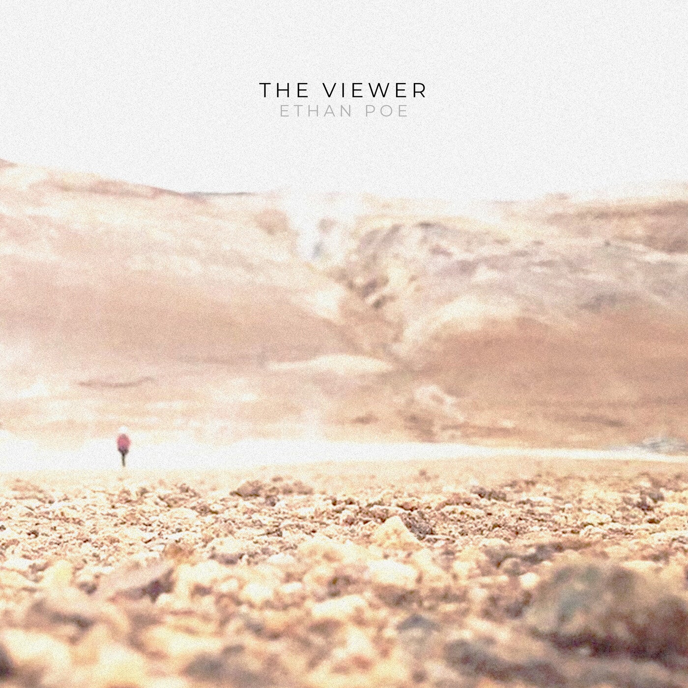 The Viewer