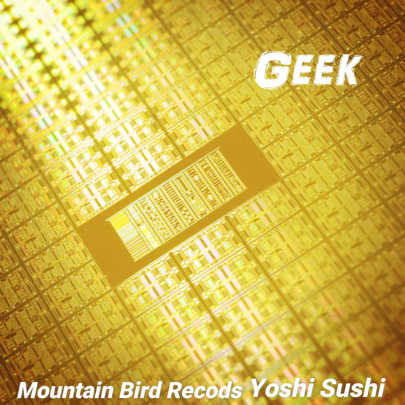 Geek