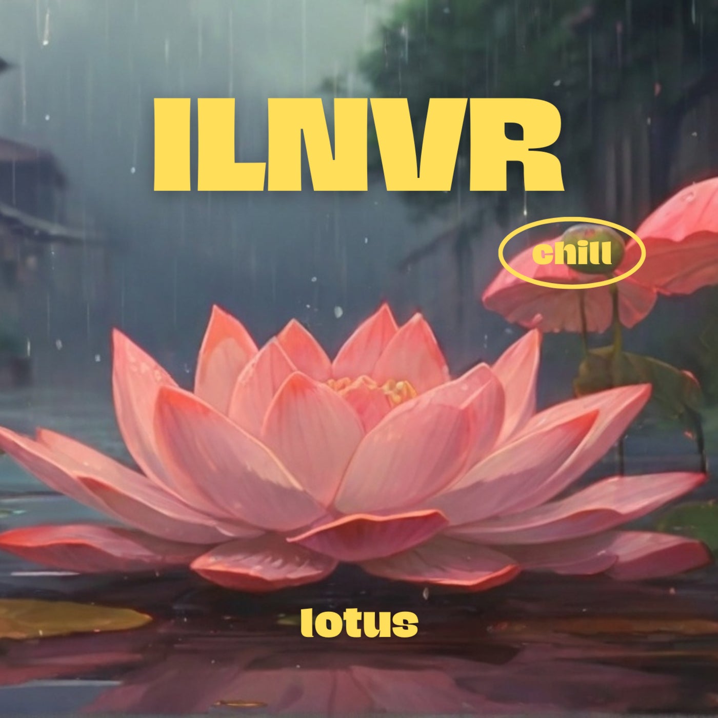 Lotus