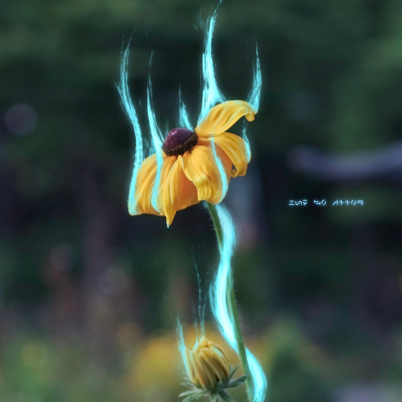 How It Feels (Extended)