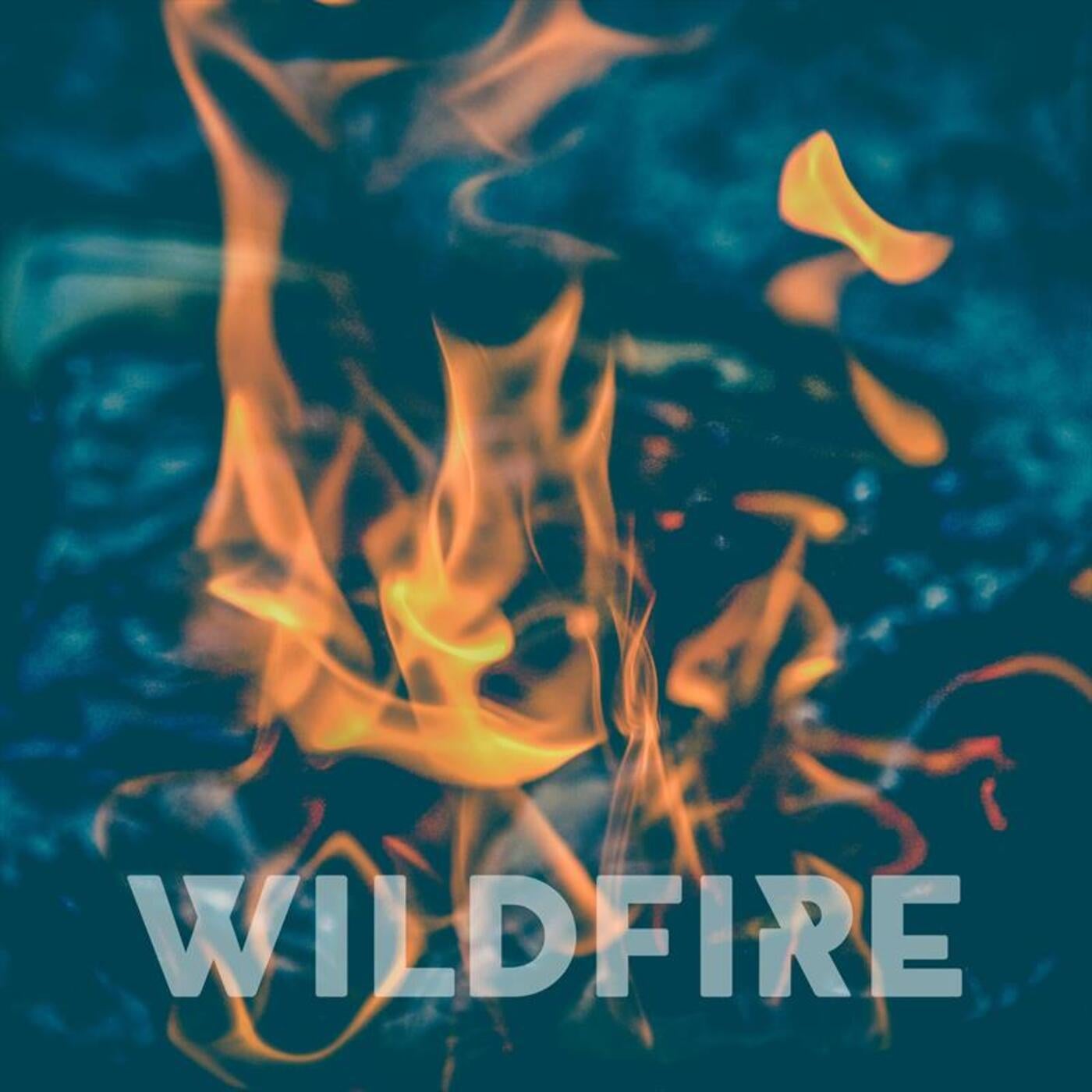 Wildfire