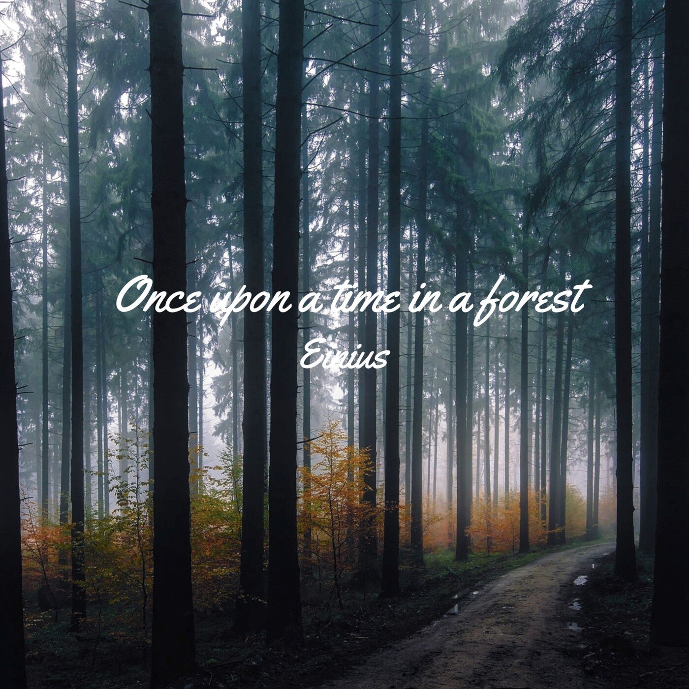 Once Upon a Time in a Forest