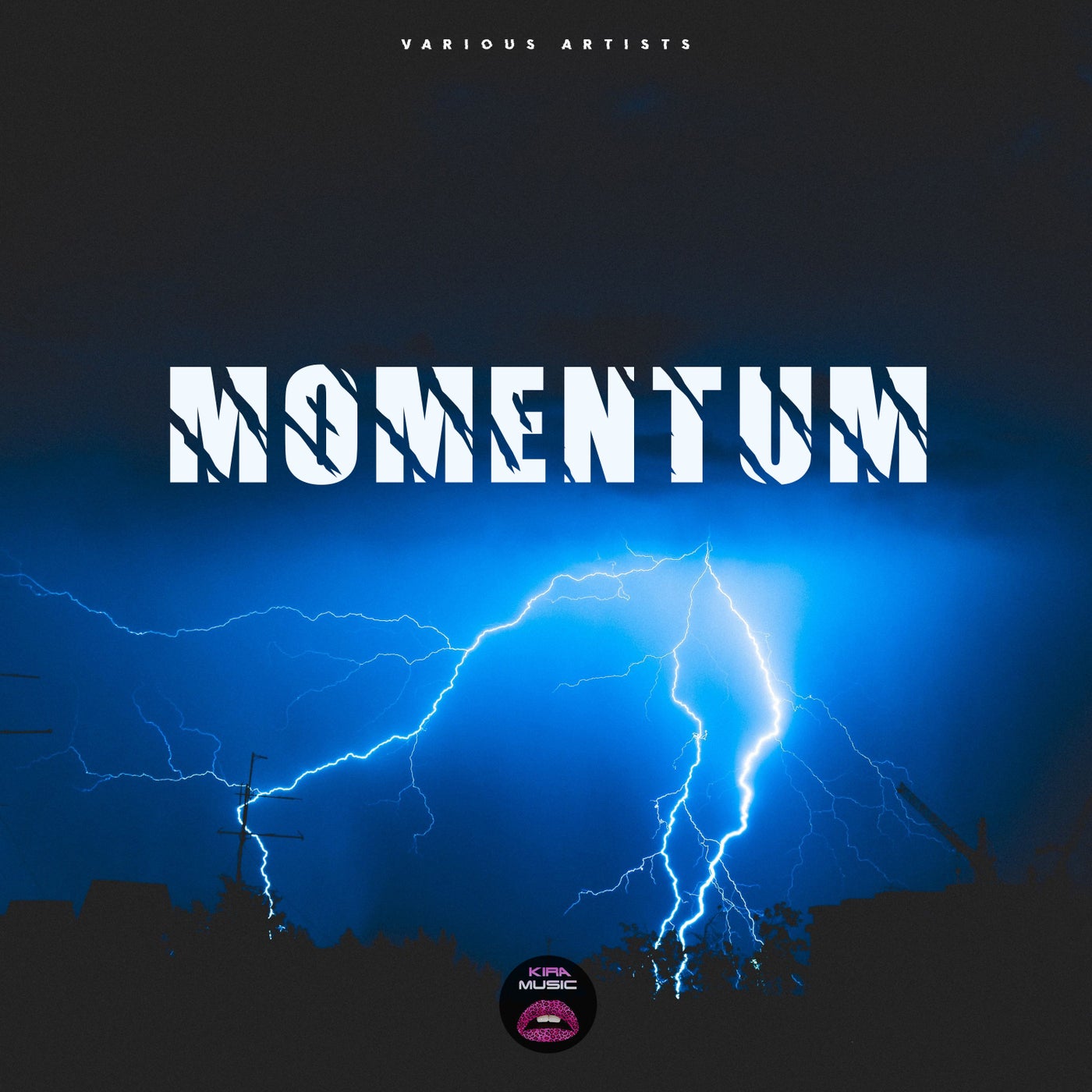 Momentum