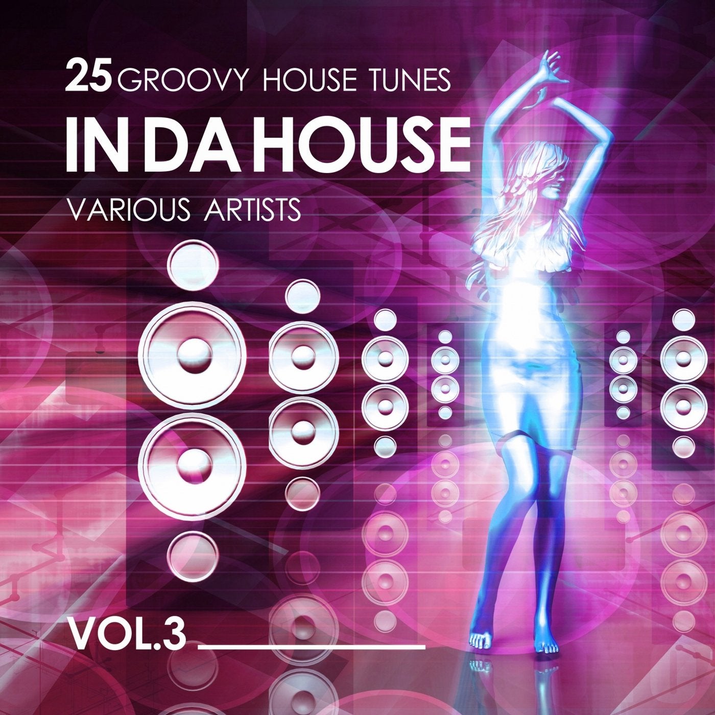In Da House (25 Groovy House Tunes), Vol. 3