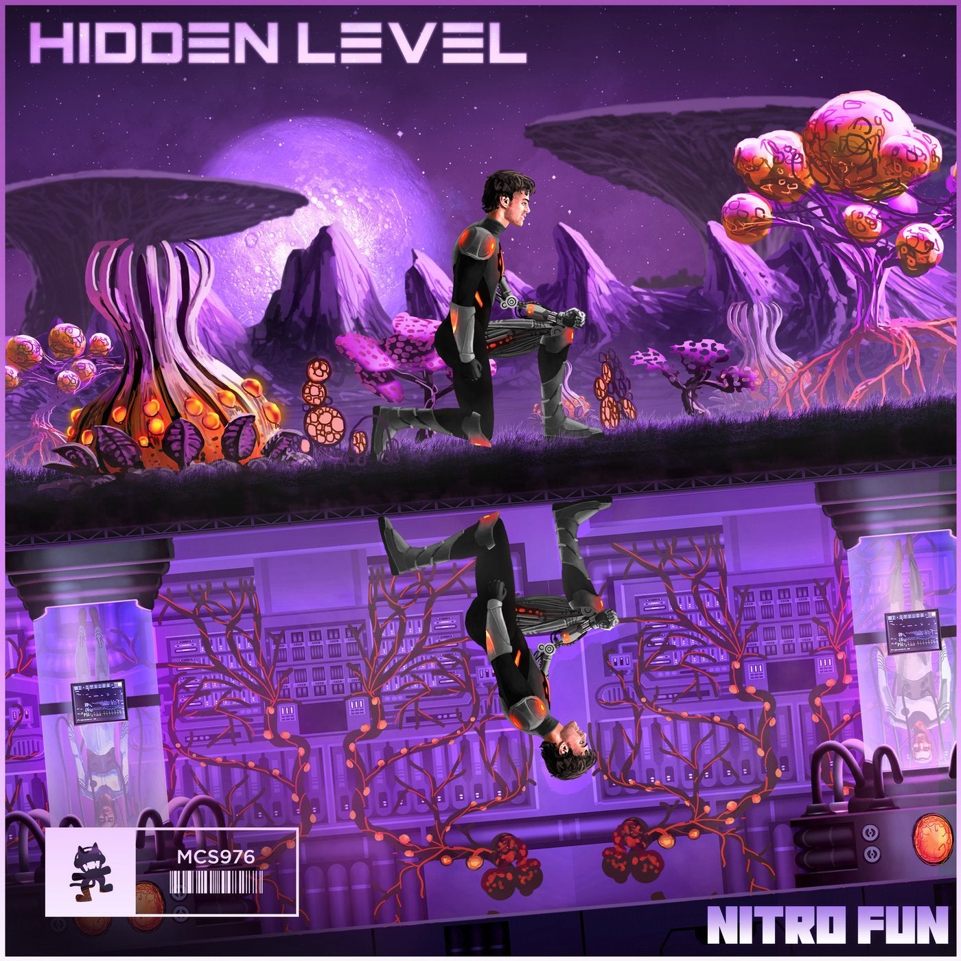 Hidden Level