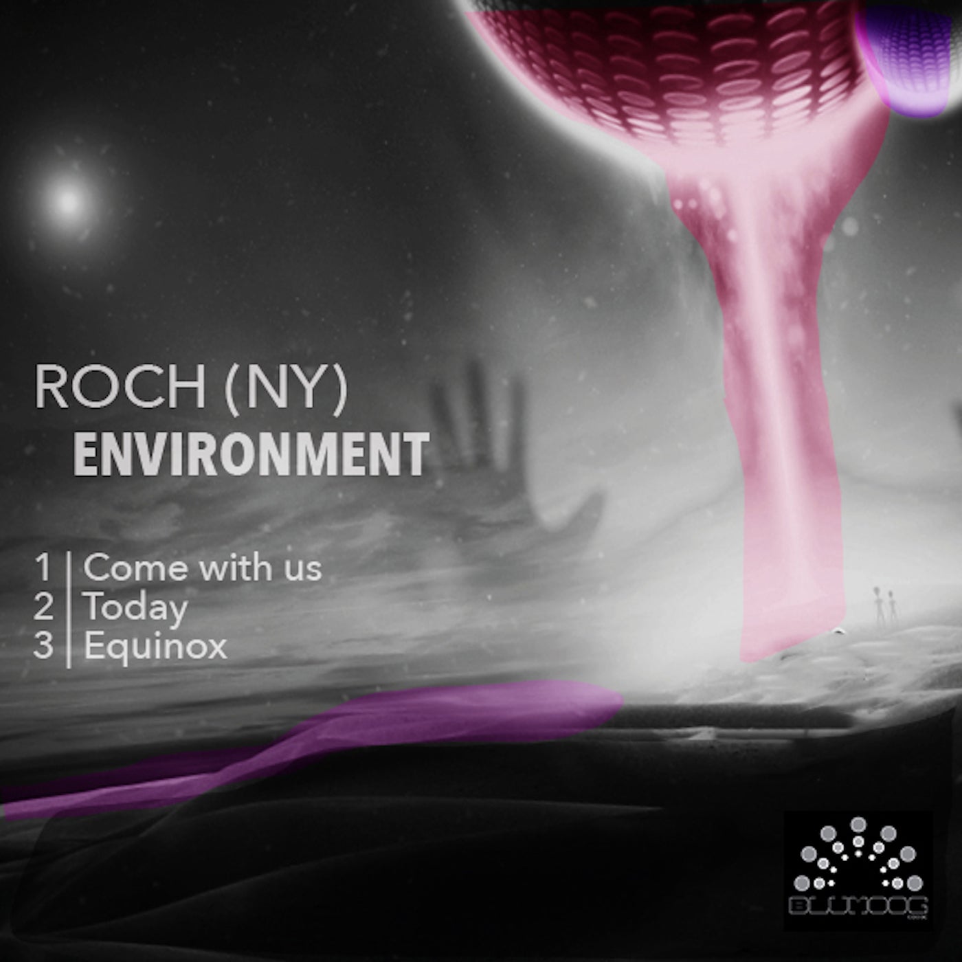 Environment