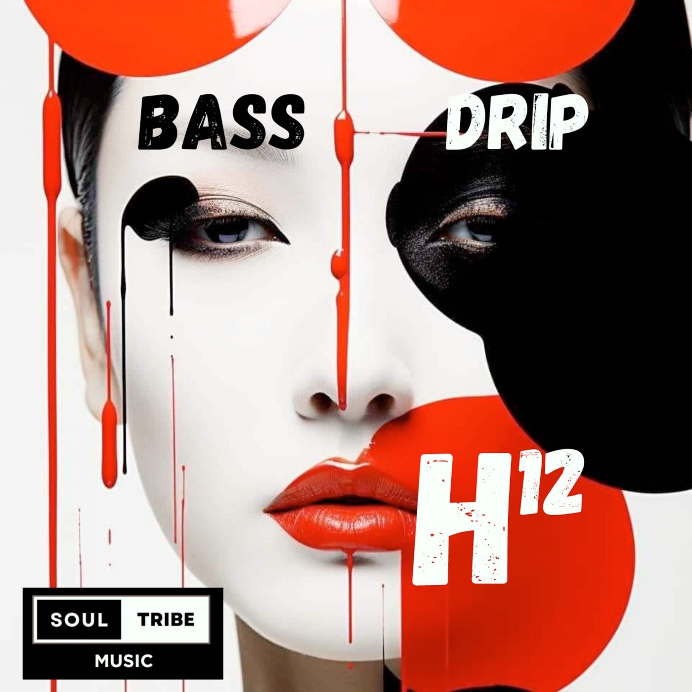 H12 - Bassdrip (Original Mix) [SOULTRIBE MUSIC LTD] Music & Downloads