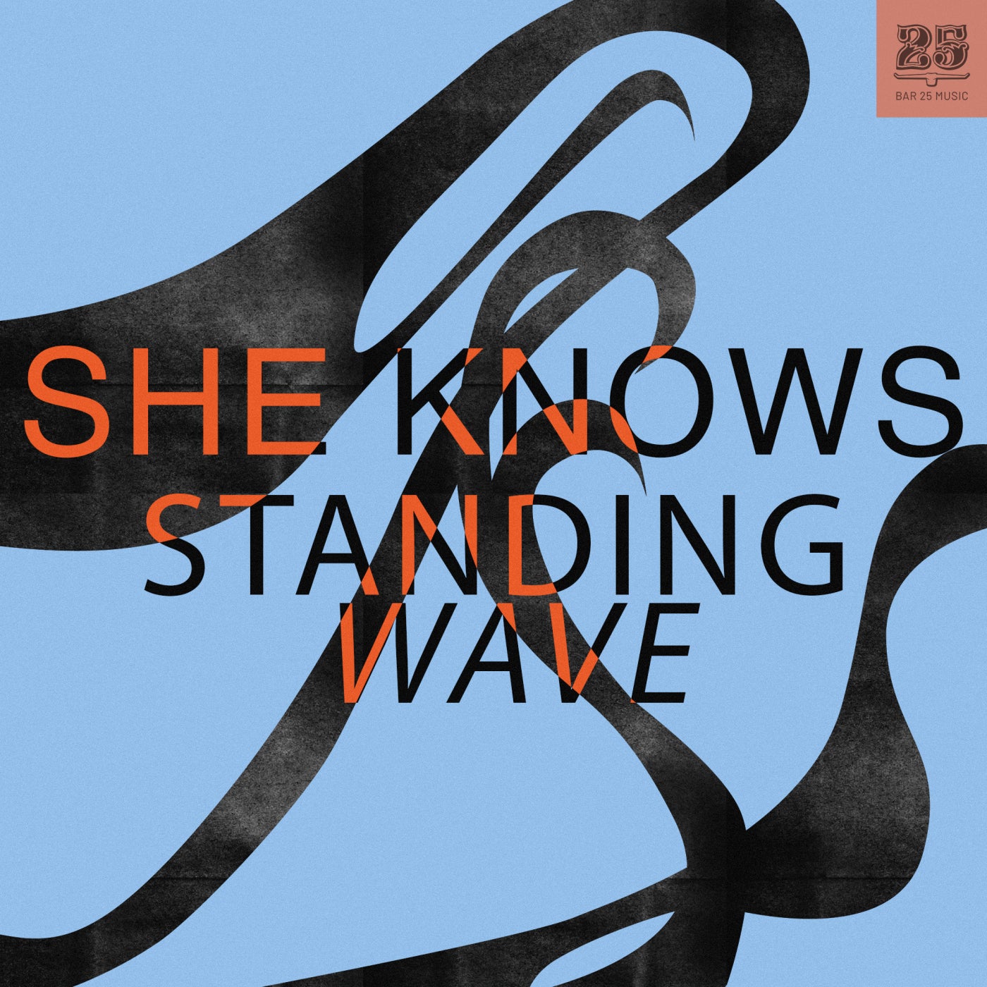 She Knows - Standing Wave [Bar 25 Music] | Music & Downloads on Beatport