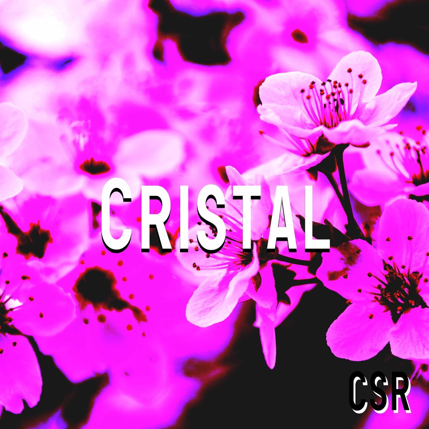 Cristal