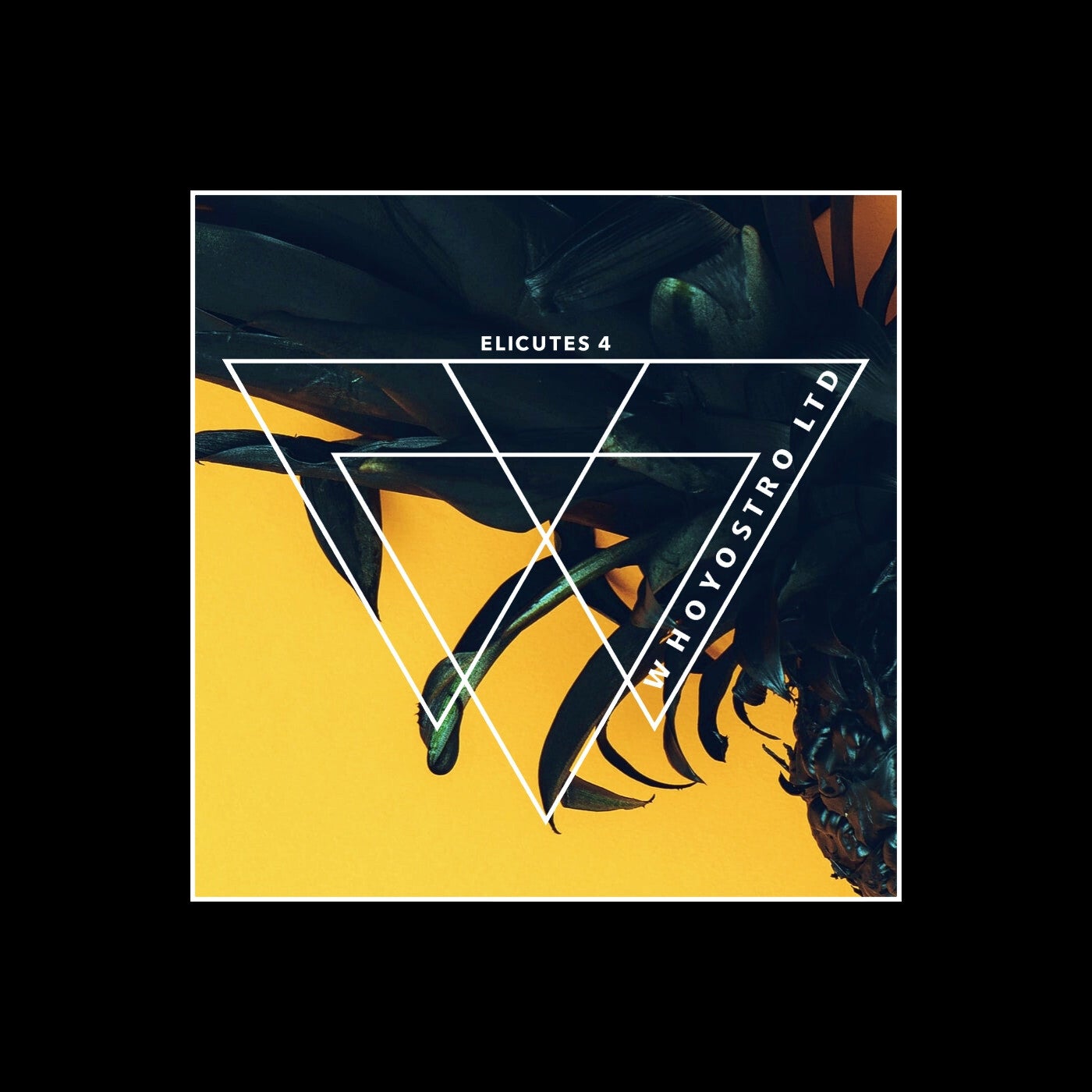 VA – Elicutes 4 WHLTD171