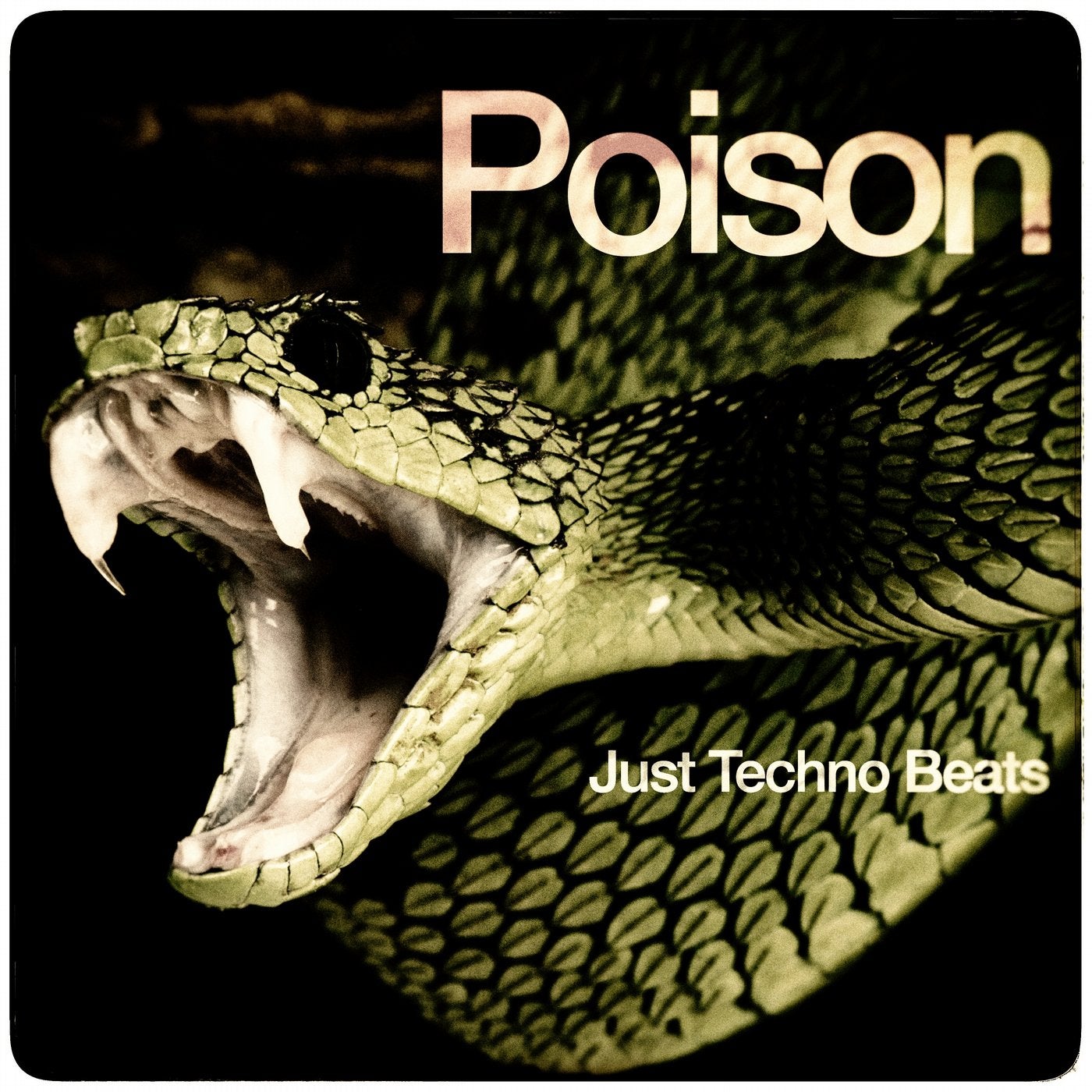 Poison (Just Techno Beats)