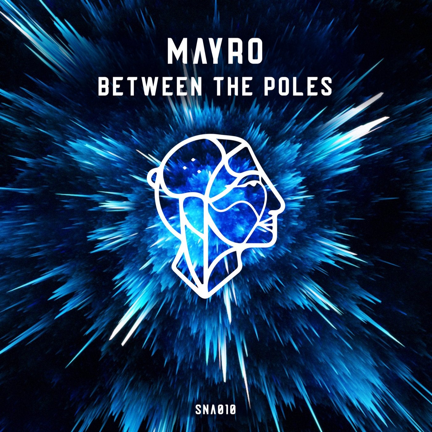 Between the Poles