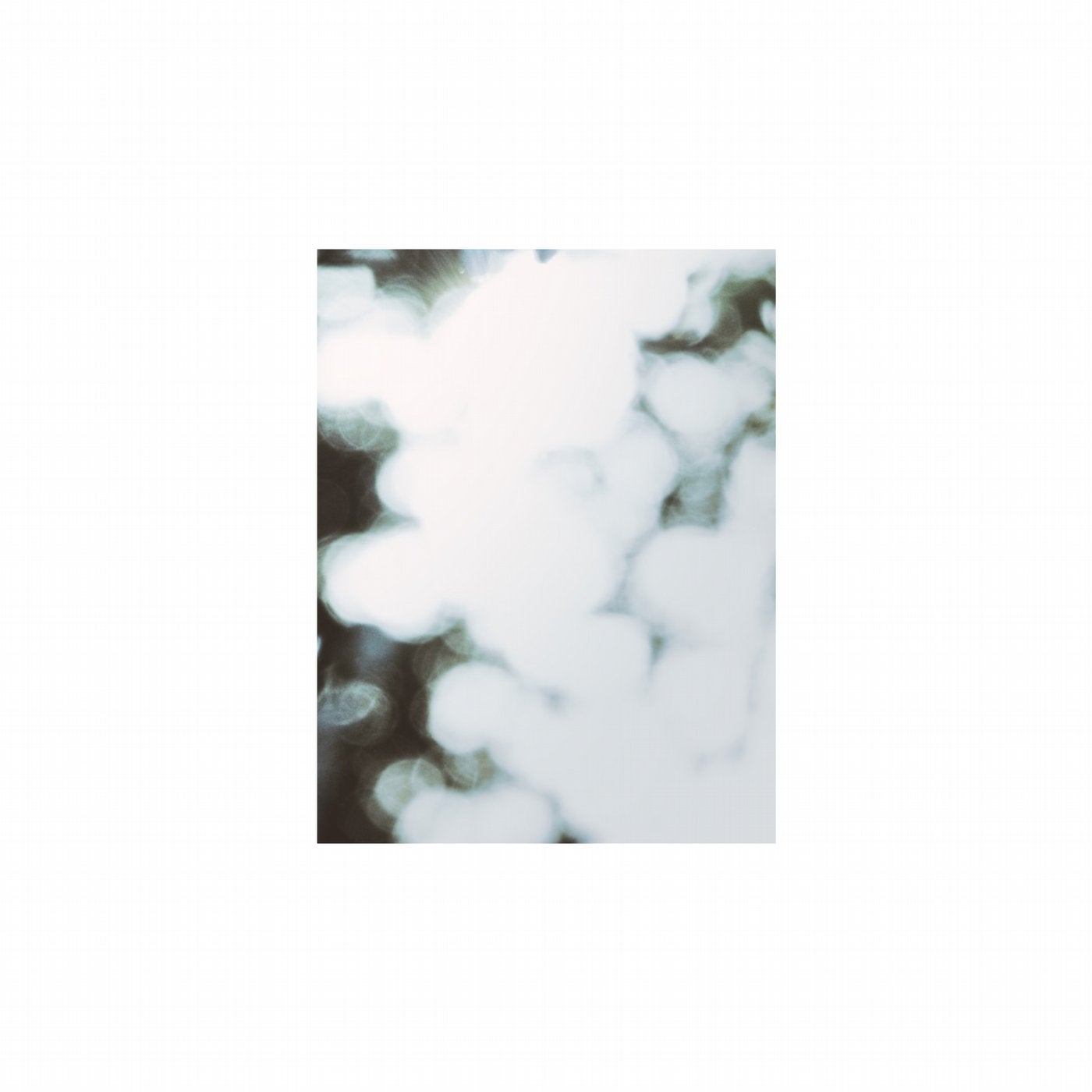 Shutter