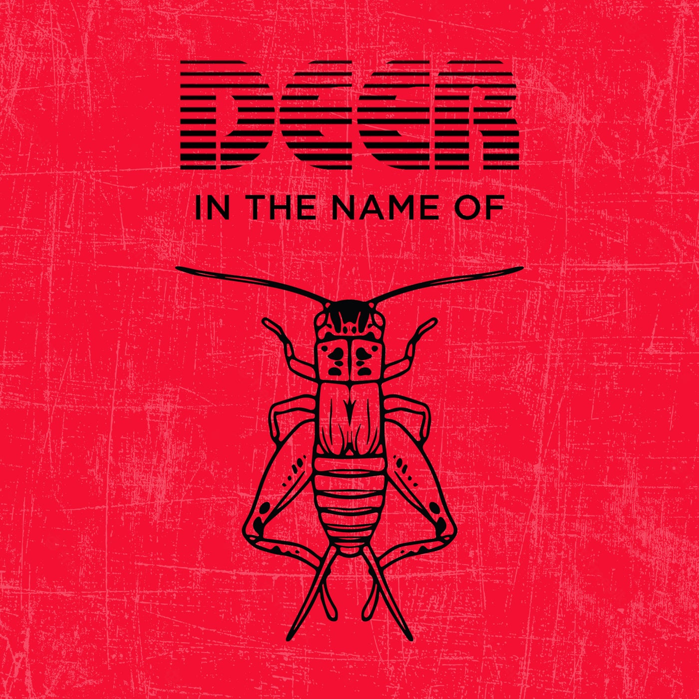 In the Name of...