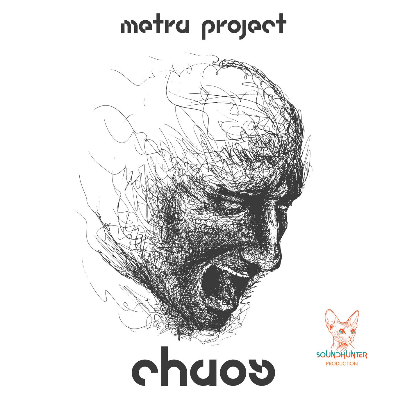 Chaos