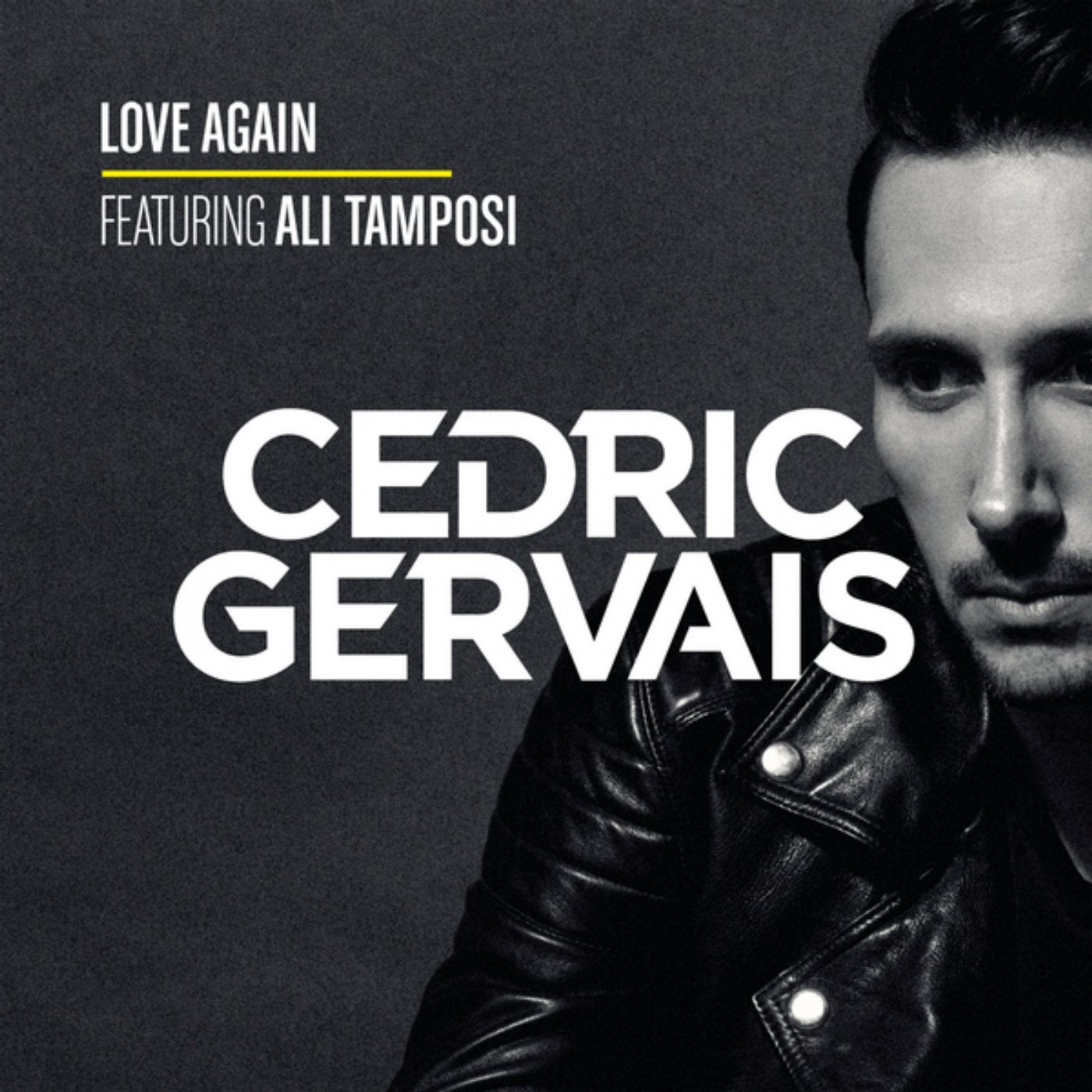 Седрик Жерве. Ali tamposi. Gervais Cedric DJ. David Guetta feat. Cedric Gervais & Chris Willis - would i Lie to you.