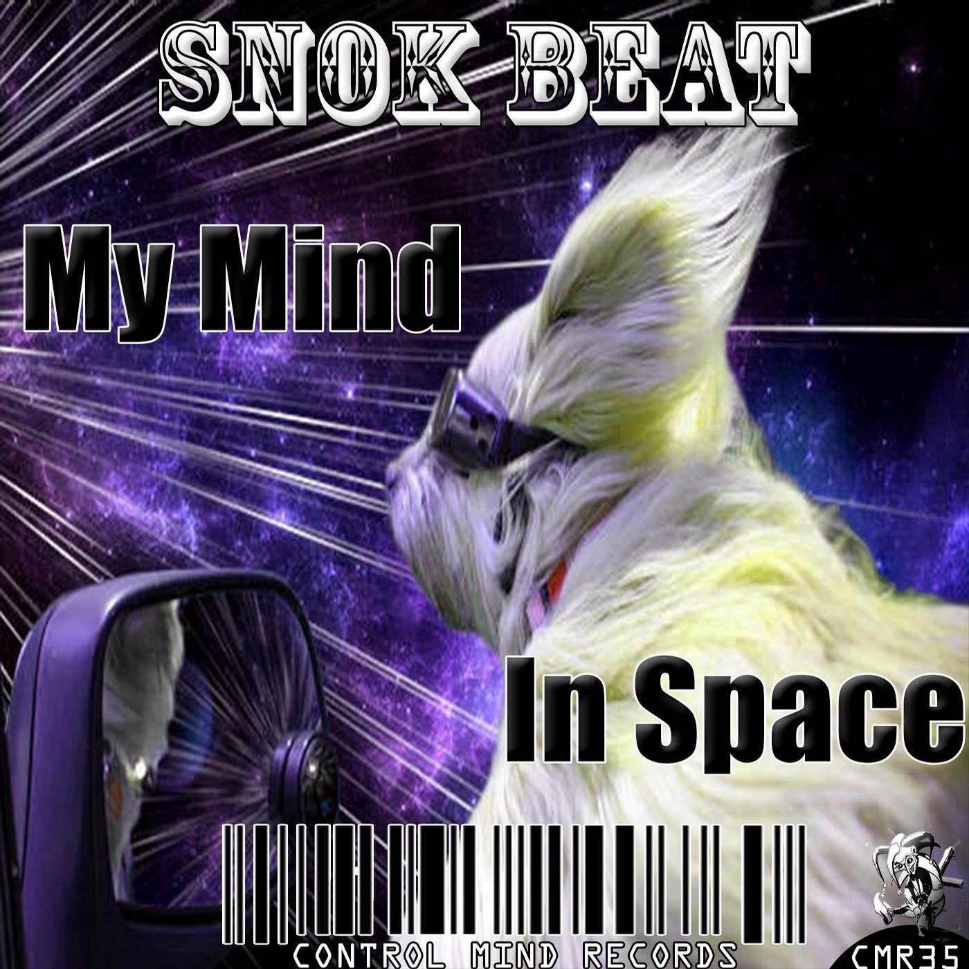 My Mind In Space
