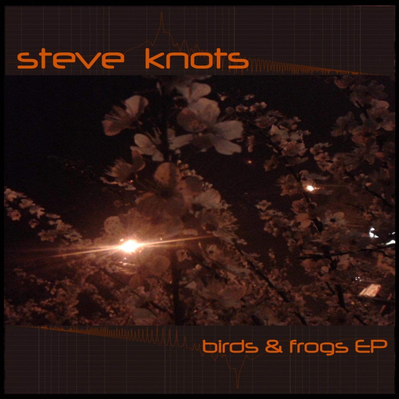 Birds & Frogs EP