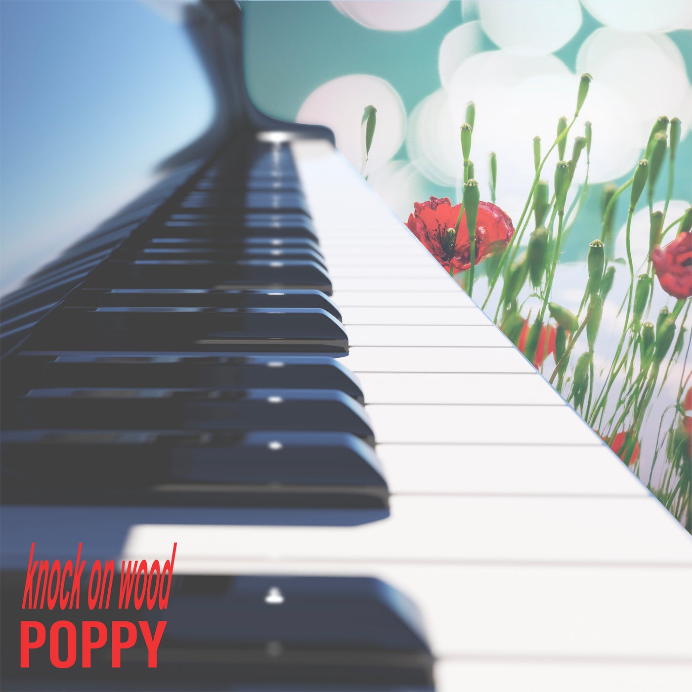 poppy