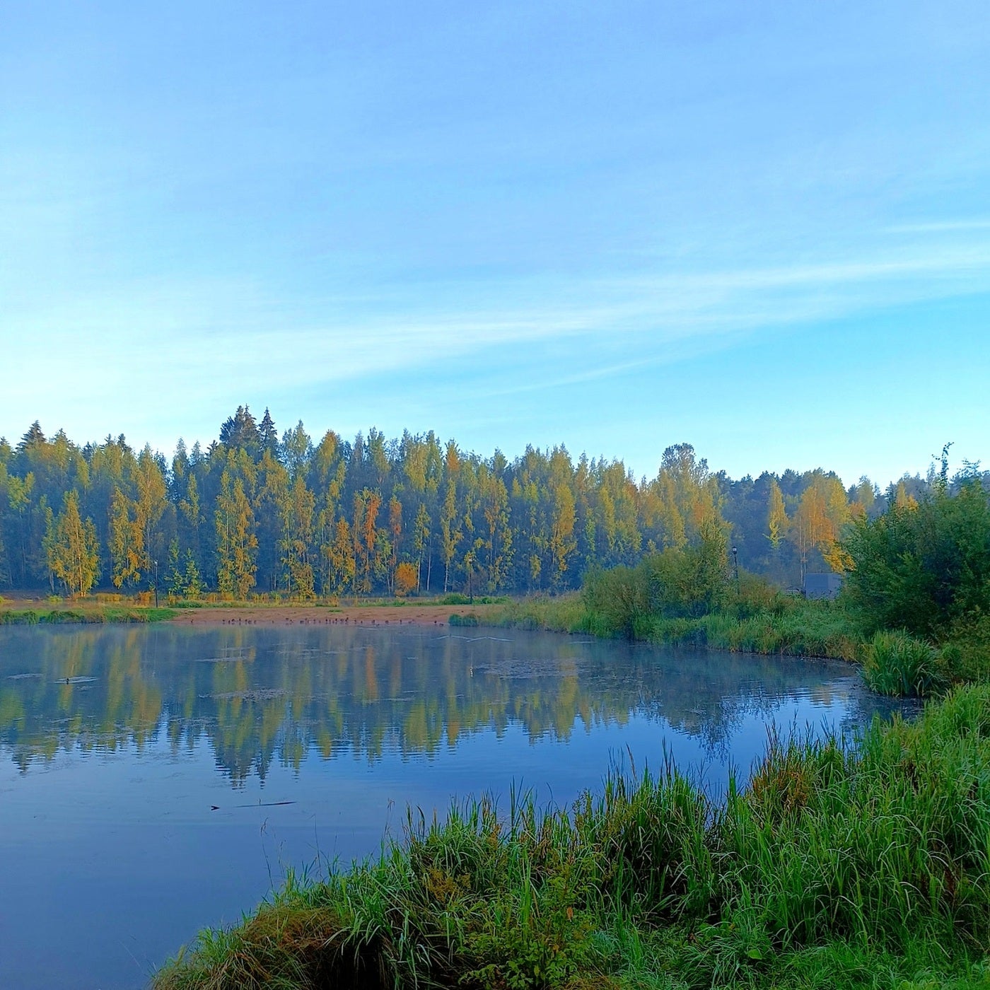 Quiet Pond
