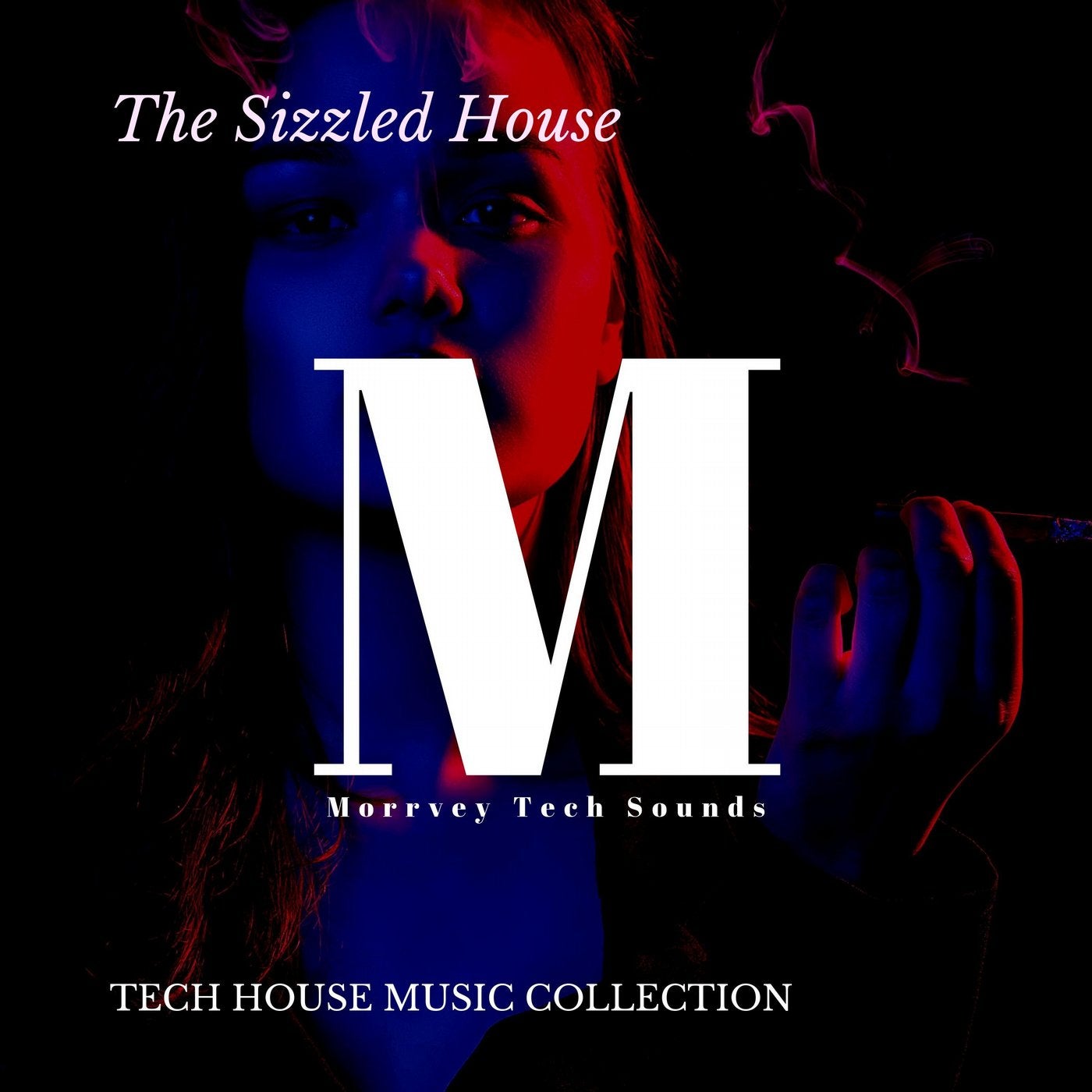 The Sizzled House - Tech House Music Collection