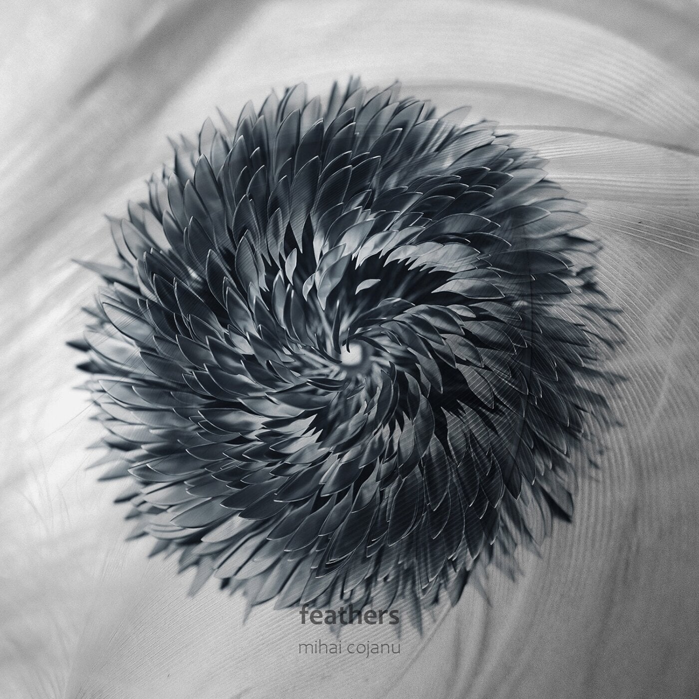 Feathers