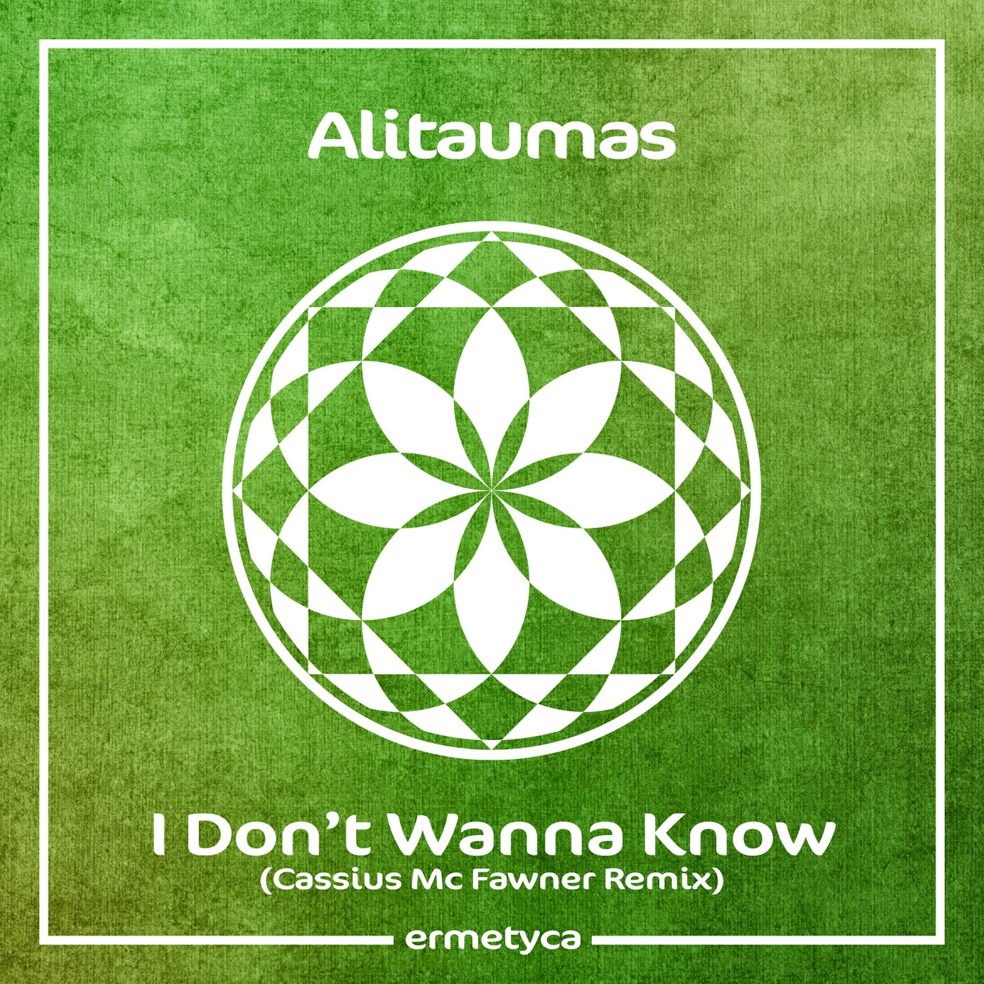 I Don't Wanna Know (Cassius Mc Fawner Remix)