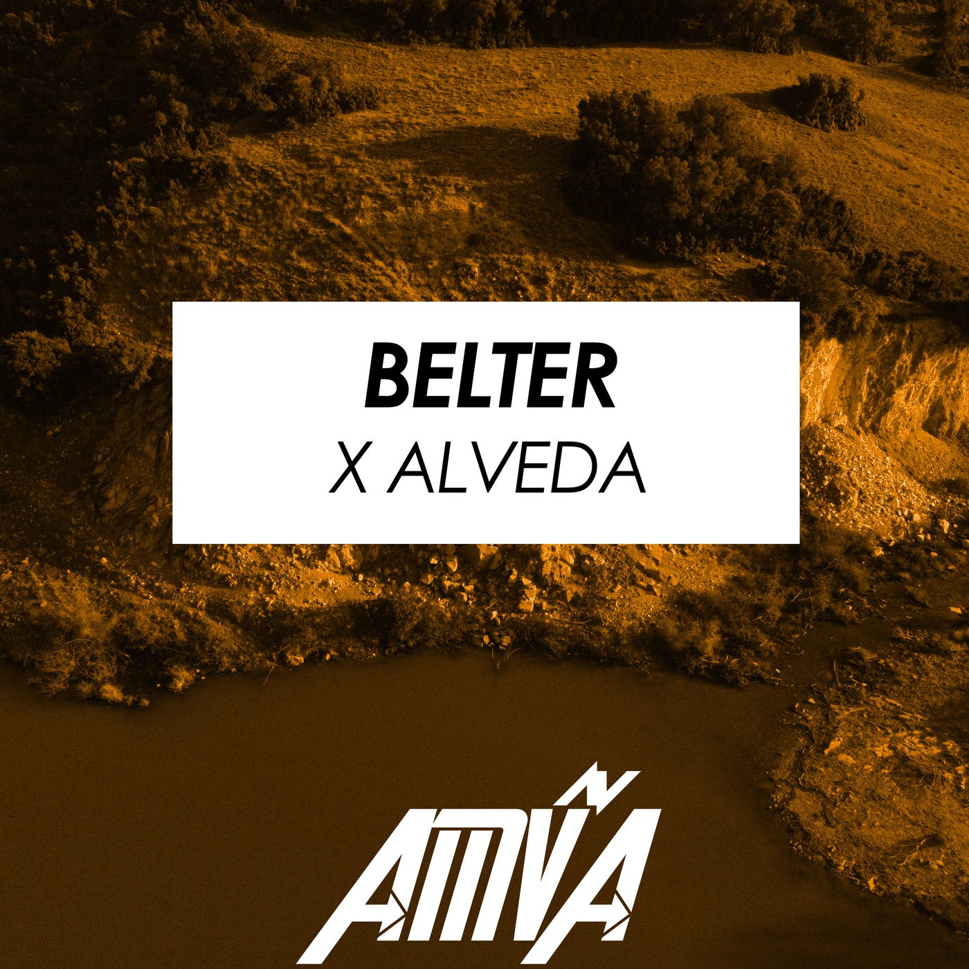 Belter x Alveda