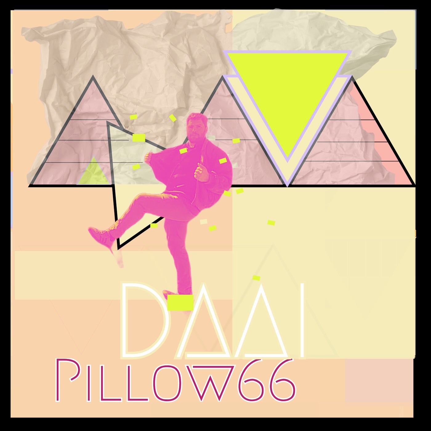 Pillow66