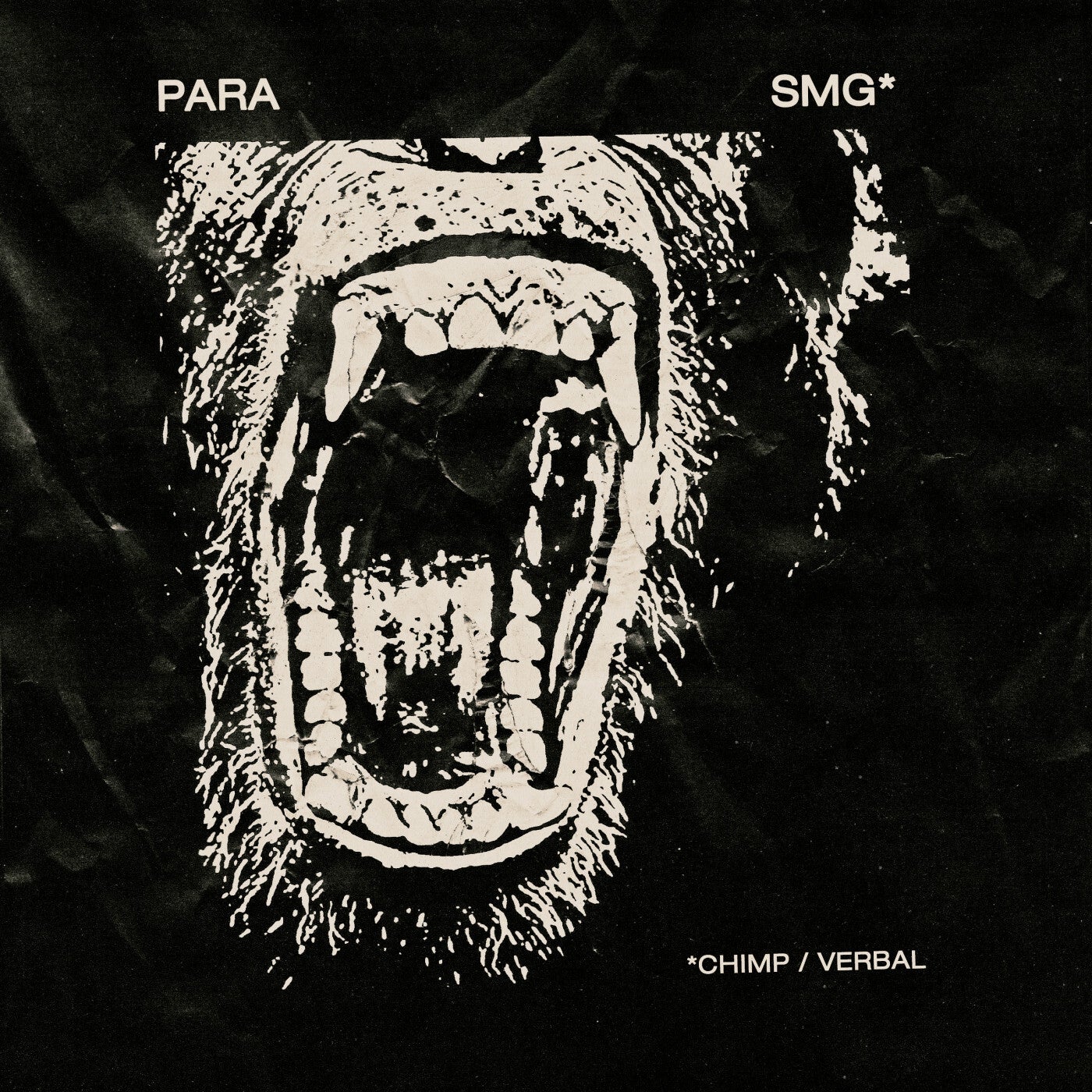 Chimp / Verbal
