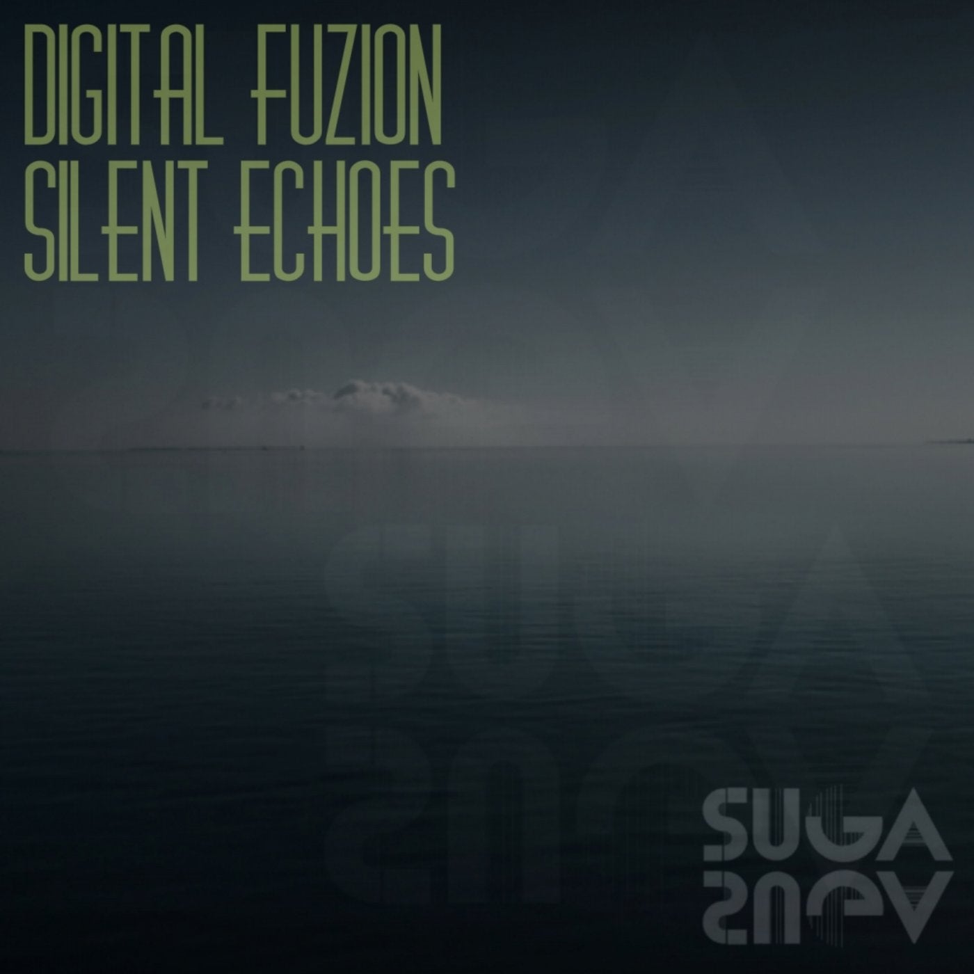 Silent Echoes