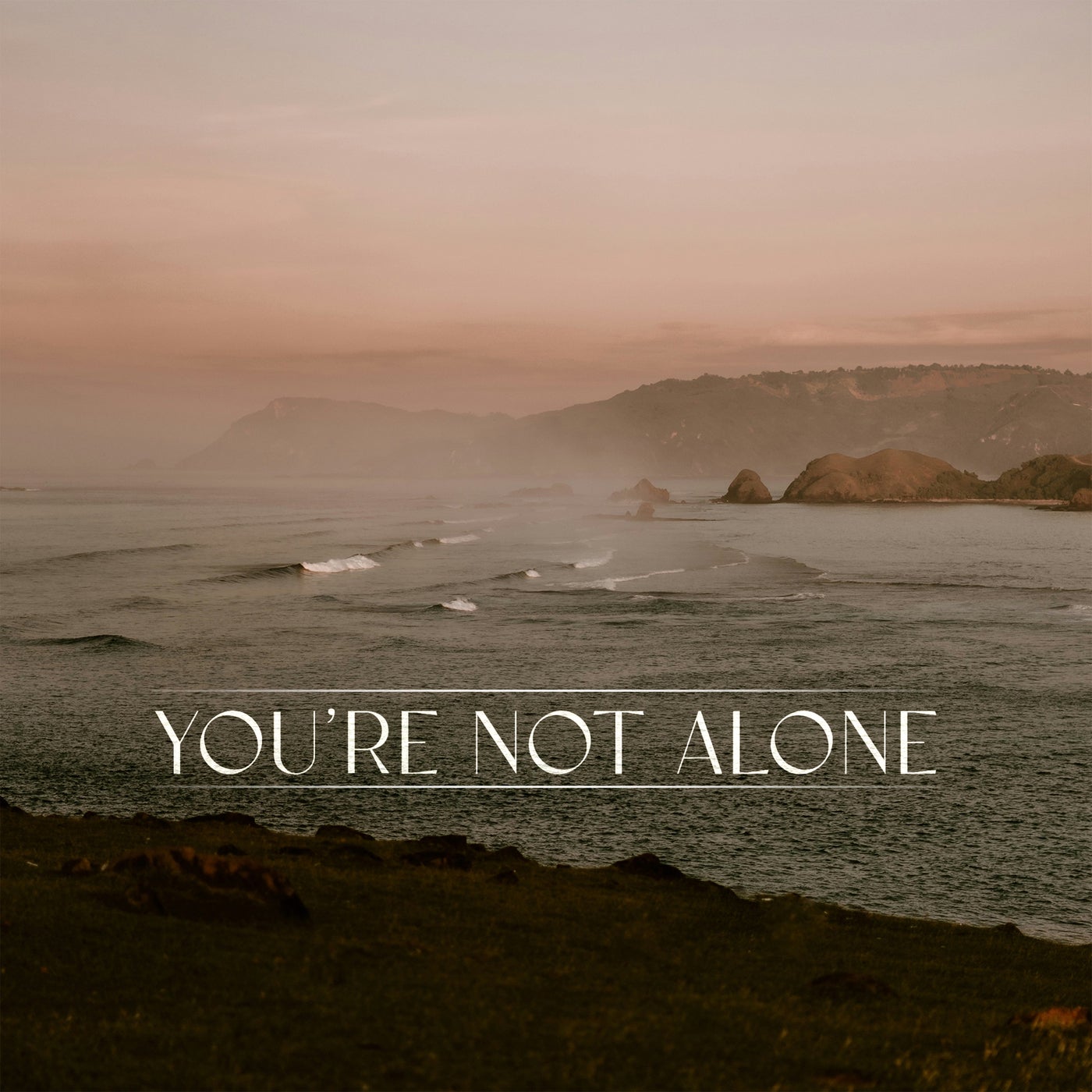 You're Not Alone (&friends Remix)