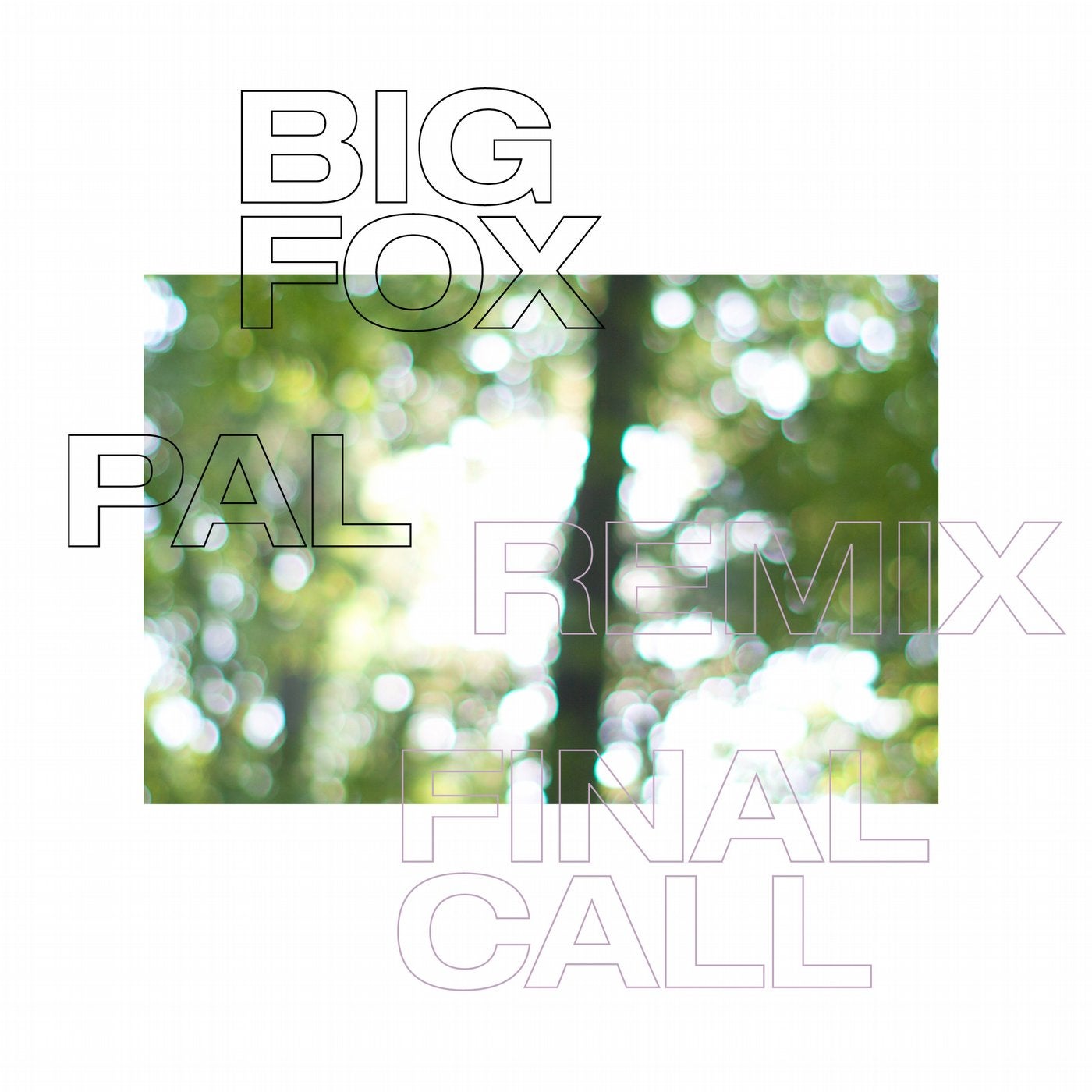 Final Call - PAL Remix