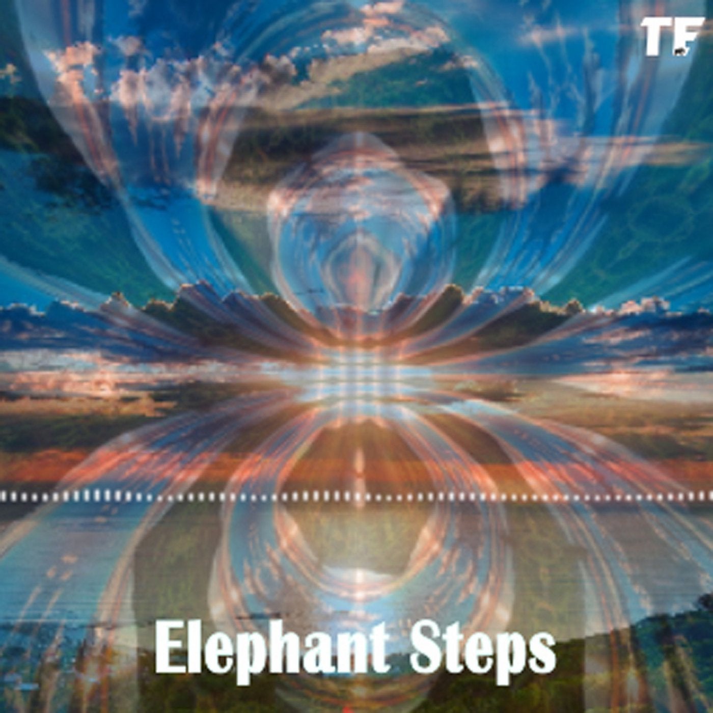 Elephant Steps
