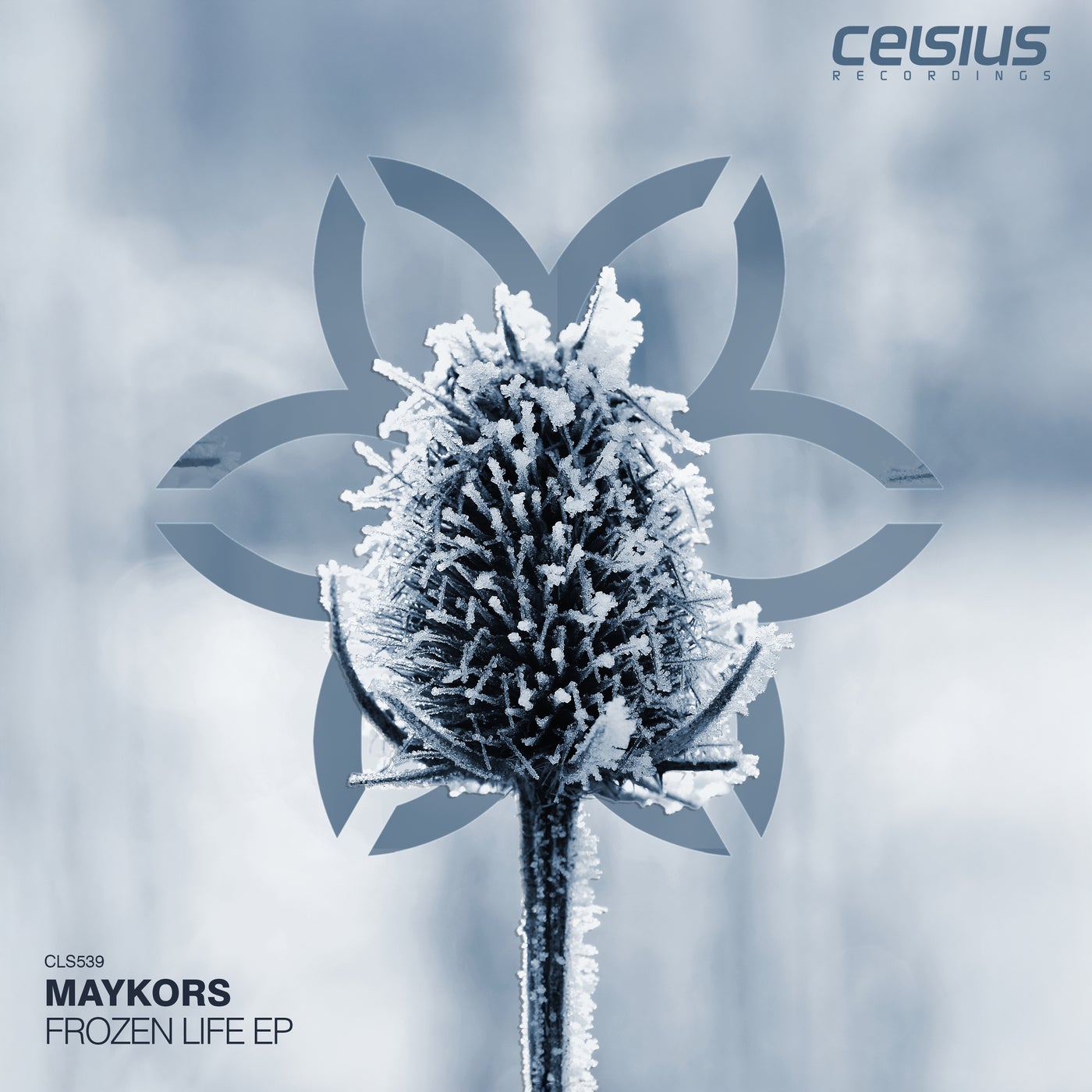 Frozen Life EP
