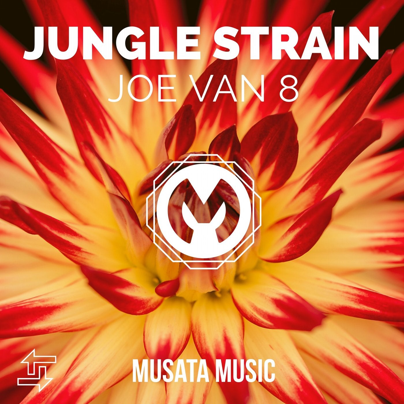 Jungle Strain