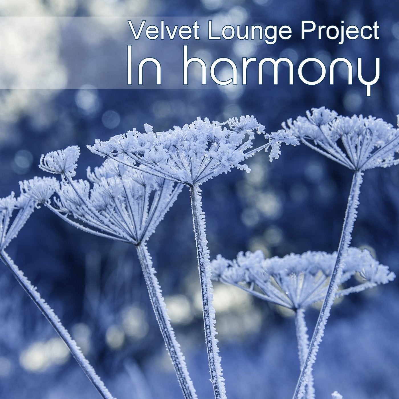 In Harmony (Winter Chill)