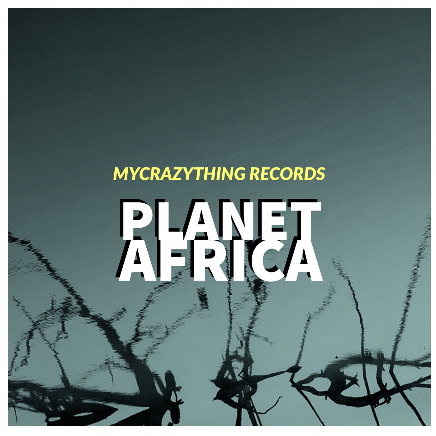 VA – Planet Africa A919