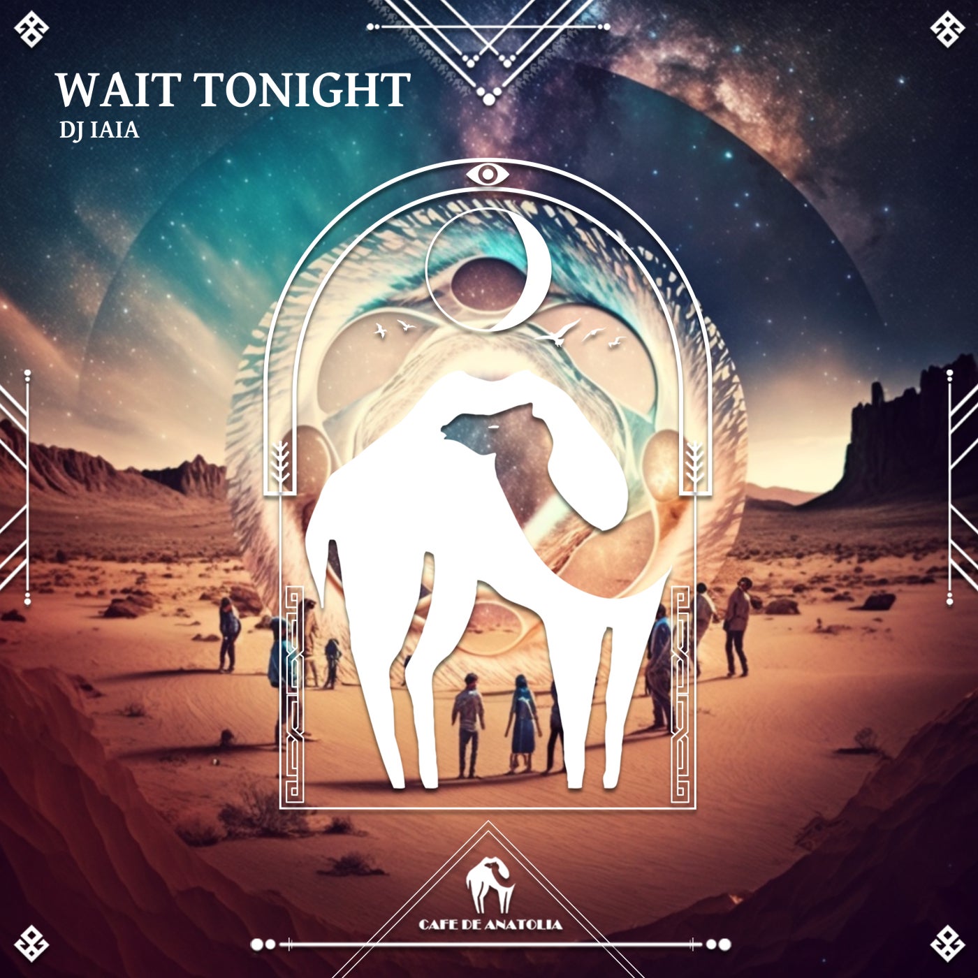 Wait Tonight