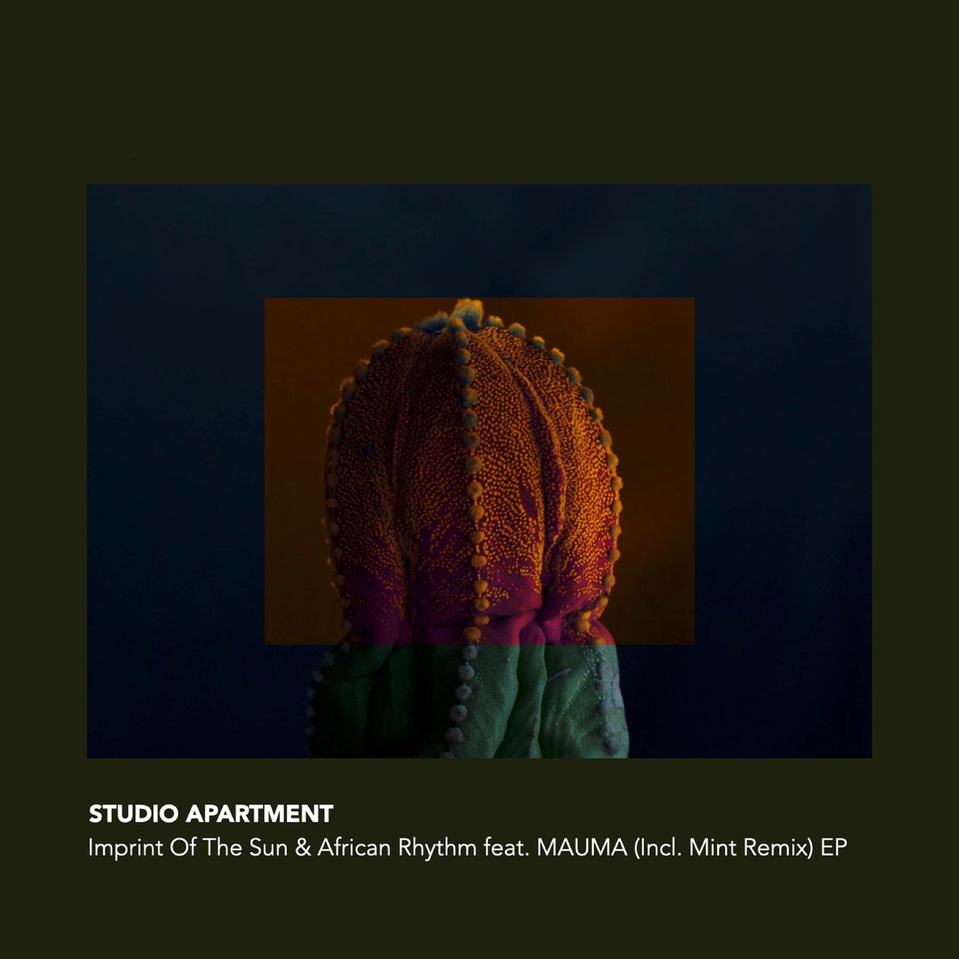 Imprint Of The Sun & African Rhythm EP