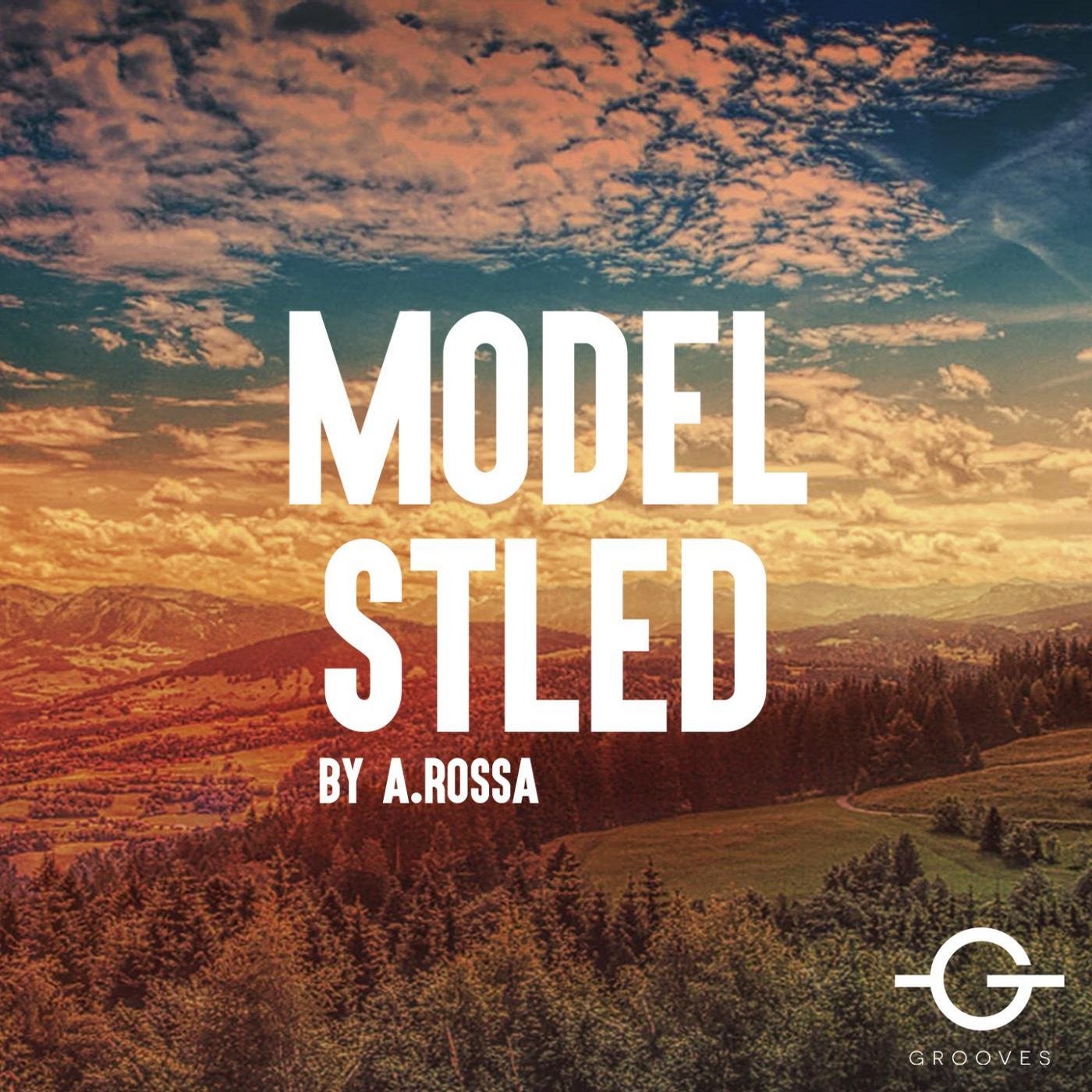 Modelstlead