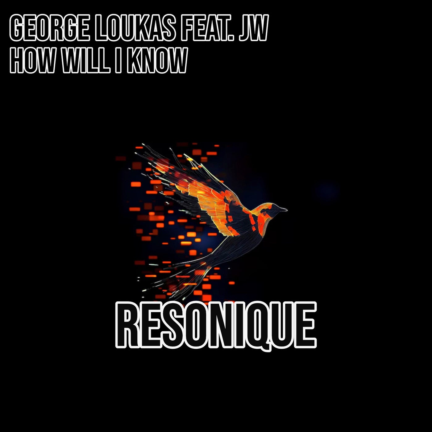 How Will I Know (feat. JW)