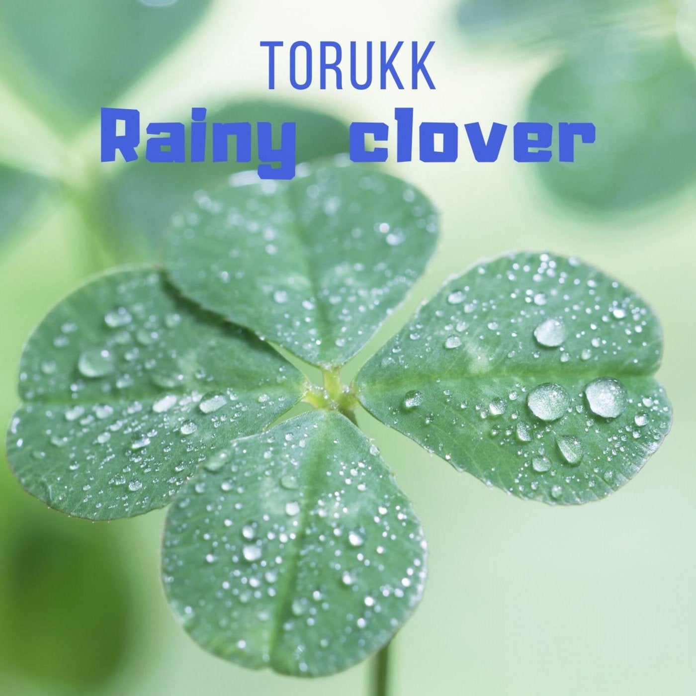 Rainy Clover