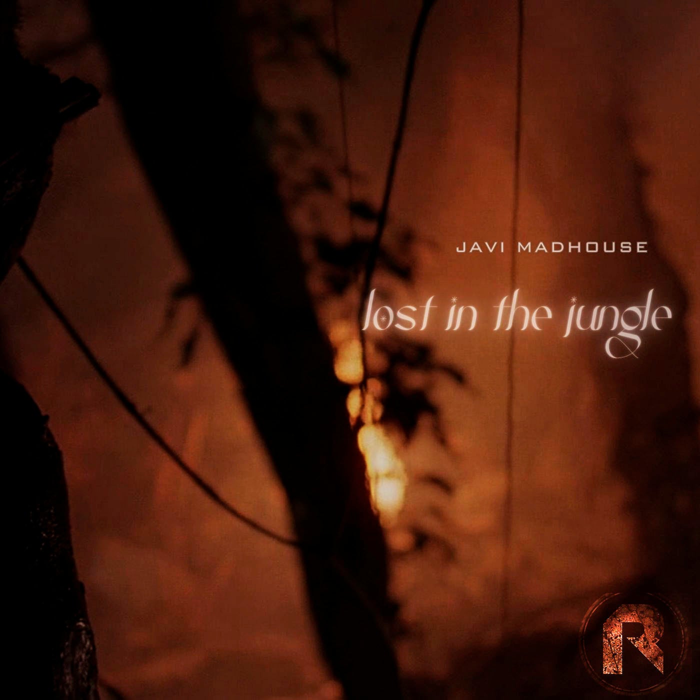 Lost in the Jungle