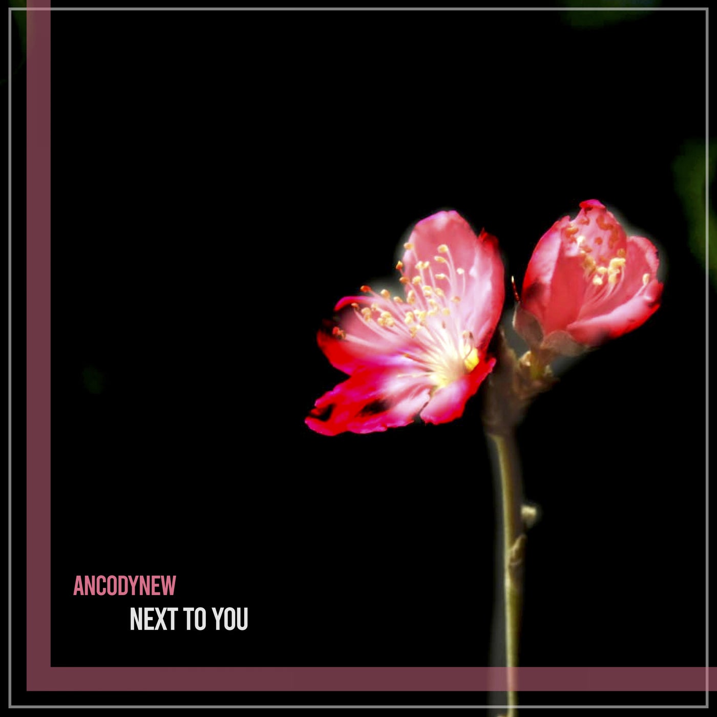 Next To You