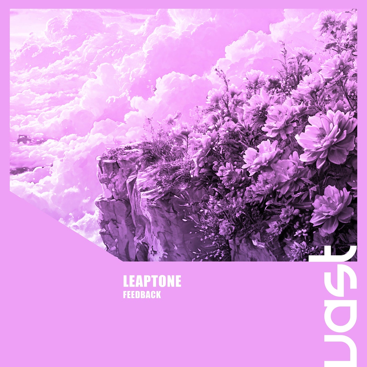 Feedback