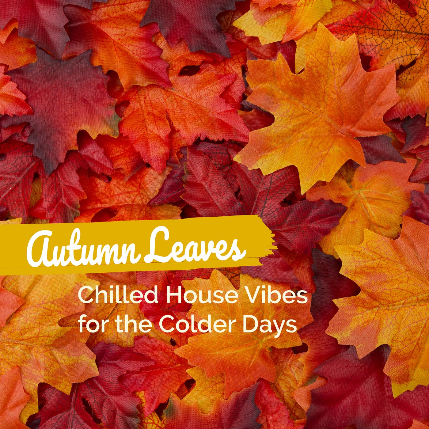 Autumn Leaves: Chilled House Vibes for the Colder Days